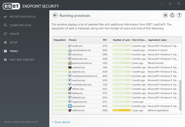 ESET Endpoint Security for Windows - Tools/Running Processes