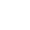 Data Security white icon