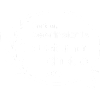 Gartner Peer Insight award icon