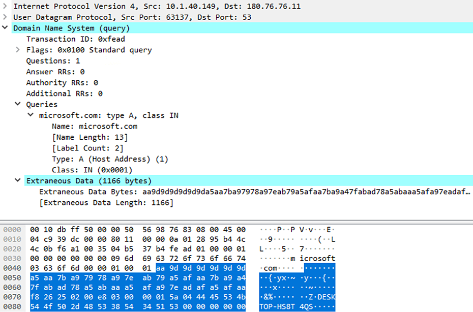 図10. バックドアによって送信されるDNSクエリ。収集された情報はプレーンテキストで追加される。