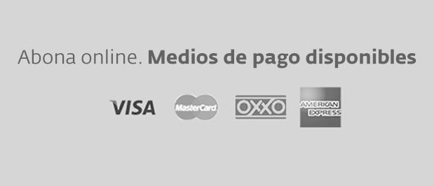 Medios de pago disponibles