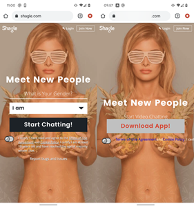 ESET StrongPity Shagle