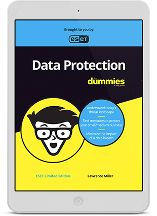 Data Protection for Dummies e-book