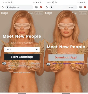 Вредоносная копия веб-ресурса Shagle. ESET.