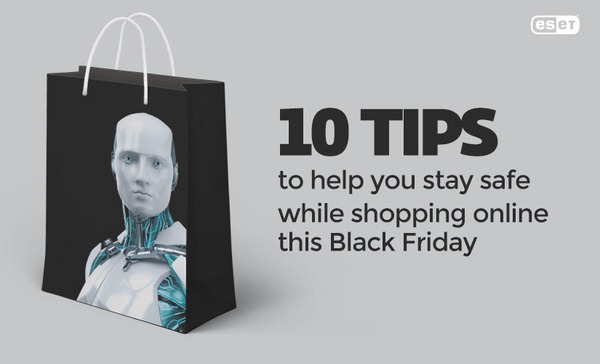 10 tips to help you stay safe while shopping online this Black Friday.