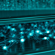 Green field with neuron connections