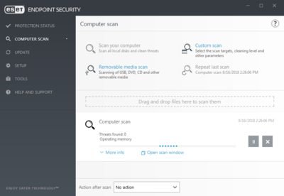 Endpoint Window