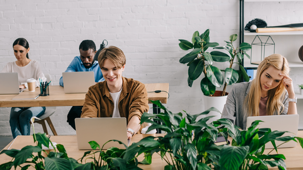 Modern Office with Plants