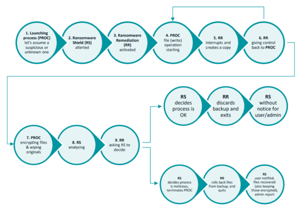 ESET Ransomware Remediation's process flow 