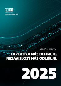 Výročná správa 2025