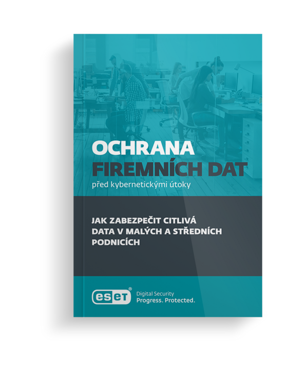Ebook: Ochrana firemních dat